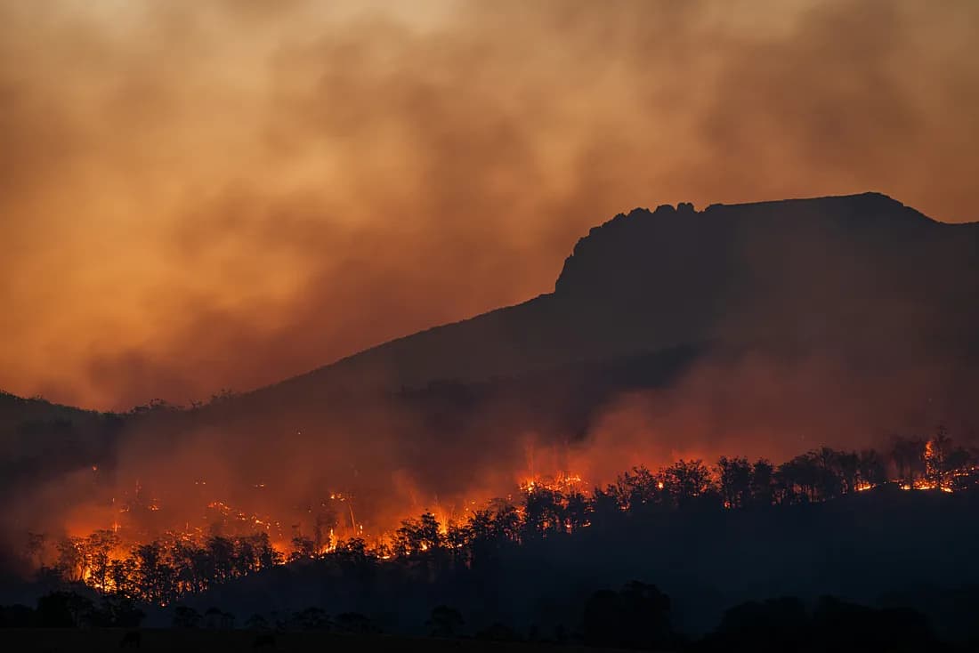 Forest Fires in Türkiye in 2025: Current Situation, Causes, and Strategies for Combating Them